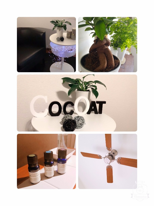 salonphoto1｜求人フォトギャラリー(大) COCOAT姫路本店・西明石松の内店