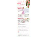 応募方法と面接当日について｜求人フォトギャラリー(小) ゆりかご 京都店
